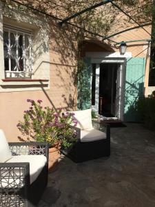 Cigales sous oliviers