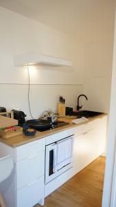 Central Appartment with mountain view