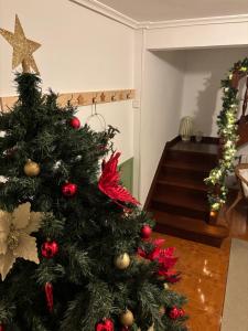 Casa rural Mies de Sabrés