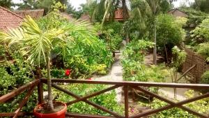 Mango Dive & Bungalow