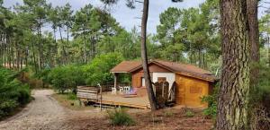 Chalets CHALET B NATURISTe MAEVA : photos des chambres