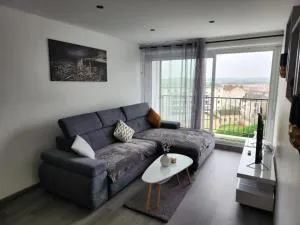 Le Reflet Gris - 索恩河畔沙隆