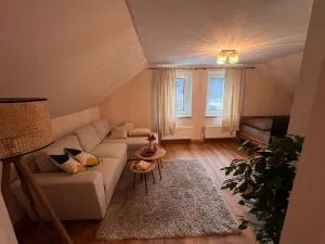 Casper-David-Friedrich - 柯尼希施泰因易北