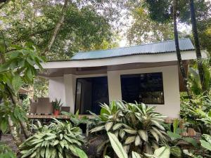 Corcovado jungle house