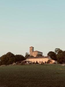 Maison drôles d'oiseaux