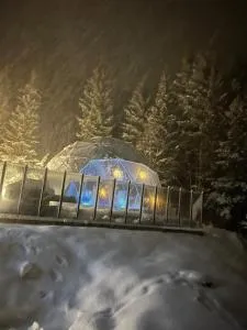 Evenes Artic glamping - Bogen