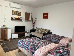 Sövényes Szálláshely