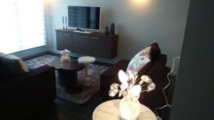 Appart'hotels Tempologis Grenoble : photos des chambres