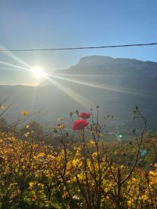 Agritur Chalet Belvedere