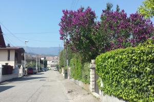 Le Jirani 90m2 calme jardin privé proche Le Phare