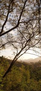 Loft Refugio na Serra-RJ