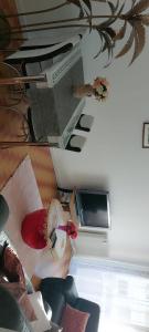 Appartements Satisfaction absolue : photos des chambres