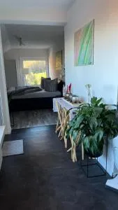 FeWo Fischer Am Bischenberg Sasbachwalden - Sasbachwalden