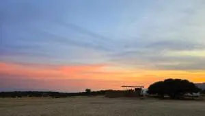 אסקייפ ים המלח - Mitzpe Yeriho