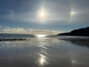 The Langland Loft - Tiny Home