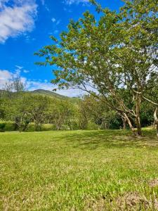 Tranquilidad y Naturaleza Cabaña Concepción