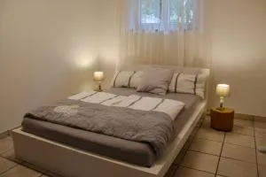 Schwarzwald Apartment - 黑林山区克尼格斯费尔德