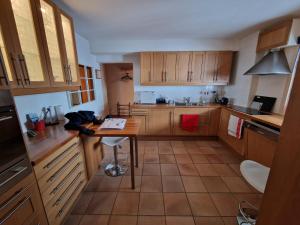 Magnifique appartement en bord des pistes