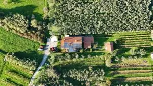 Apartment Bella Rosa - Bertoki