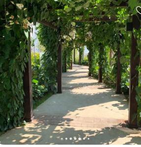 Residencial Mediterraneo