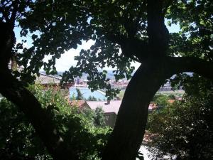 Studio with garden near the sea