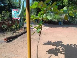 Sindhu Swarajya - Nerur