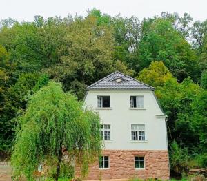 Dom pod Agatową Skałą we Wleniu