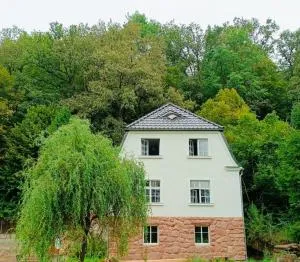 Dom pod Agatową Skałą we Wleniu - Przezdziedza