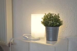 Sonnige Wohnung in Freiburg