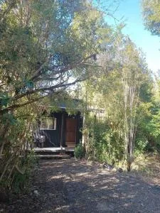 Cabaña en el bosque con opción tina caliente - Río del Sur