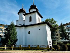 Central Charm Apartment