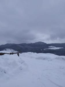 Chatki Niwkii u Zbója Studio z antresolą