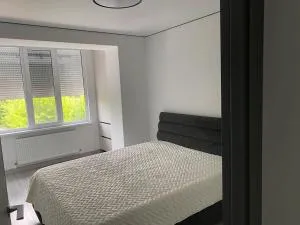 Chirie apartament - Tarutyne