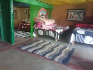 Kavya Home stay