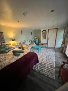 Cosy Cabana Belfast - Hyde Park