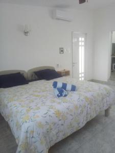 Estudio Coatí Azul en la Isla de Cozumel en el Caribe