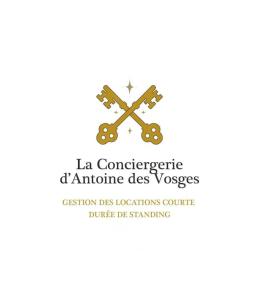 Appartements La Taniere du Loup, pres des pistes & lacs : photos des chambres