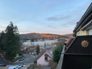 Appartements Le Chalet du Hohwald : photos des chambres