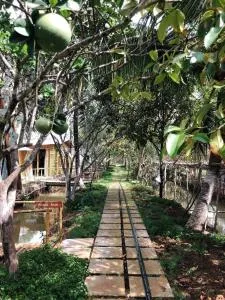 Hide Away Bungalows in Ben Tre City - Ấp Mỹ Hòa (2)