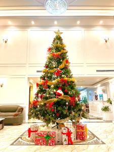 Cannon Fort - The Viewpoint Hotel