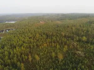 Holiday home BÄCKEFORS - Högsäter