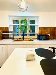 Casa céntrica Las Higueras - Tolomosita