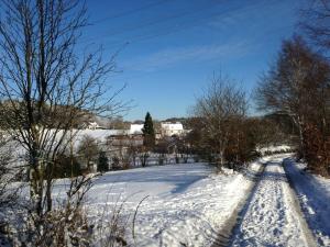 Historical Apartment