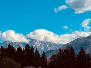 Urasa Cottage @ Snow Countryside