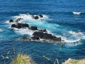House in Ponta Garça