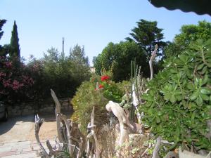 Hotels Hotel Punta e Mare des Chambres ou des Appartements T2 : photos des chambres