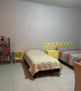 Departamento volcán el pinacate