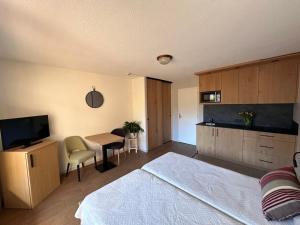 Appartements Residence La Rochetaillee : photos des chambres