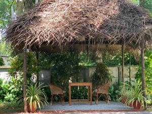 Tattwamasi Ayuryoga with Breakfast and Yoga
