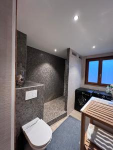 Appartements Appartement spacieux et lumineux : photos des chambres